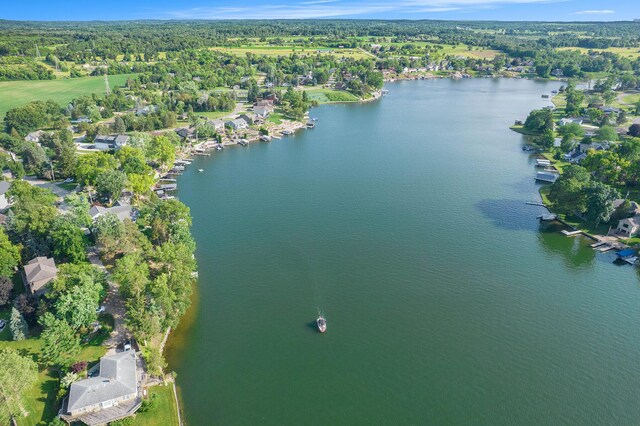 117 High View Ct, Brooklyn, MI 49230 - aerial view of property's location with a nearby body of water