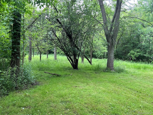 3031 Strawberry Ln, Port Huron, MI 48060