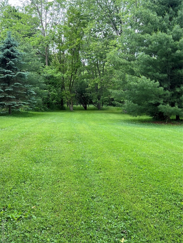 3031 Strawberry Ln, Port Huron, MI 48060