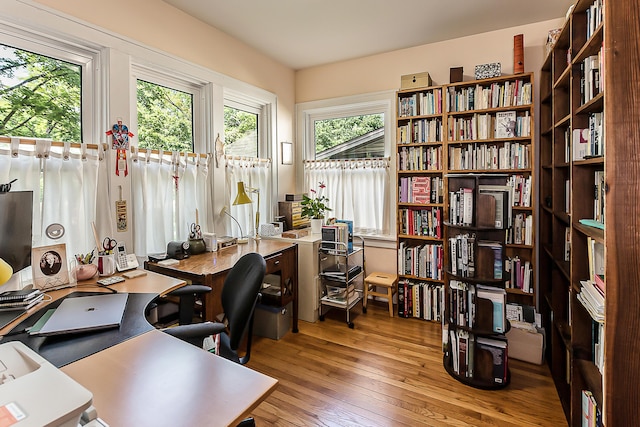 809 Pauline Blvd, Ann Arbor, MI 48103 - office featuring hardwood / wood-style flooring