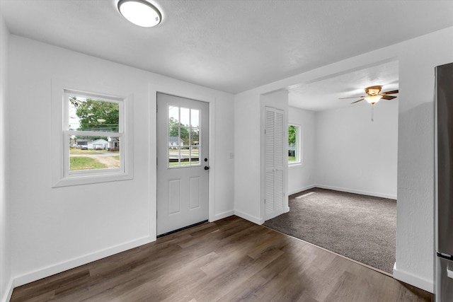 521 E Morrell St, Otsego, MI 49078 - foyer entrance with plenty of natural light, dark wood-style flooring, and a ceiling fan