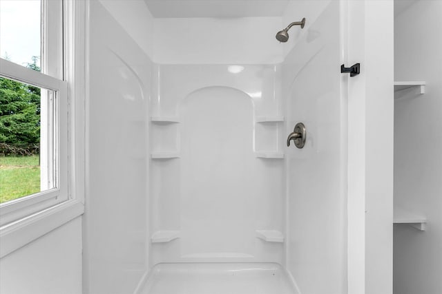 521 E Morrell St, Otsego, MI 49078 - bathroom featuring plenty of natural light and a shower