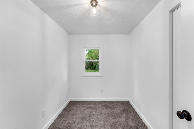 521 E Morrell St, Otsego, MI 49078 - spare room with dark carpet and a textured ceiling