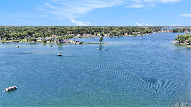 2058 S Long Lake Rd, Fenton, MI 48430 - water view