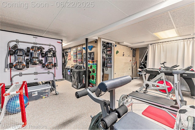 417 James Cir, Royal Oak, MI 48067 - workout area with a paneled ceiling and carpet