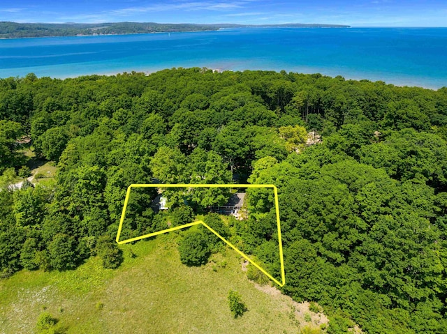 12310 E Lovers Ln, Suttons Bay, MI 49682