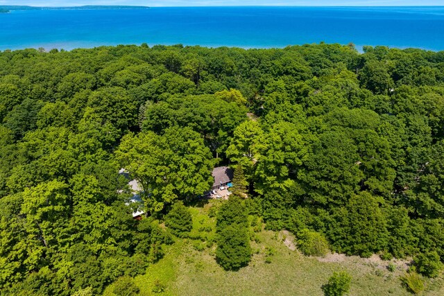 12310 E Lovers Ln, Suttons Bay, MI 49682