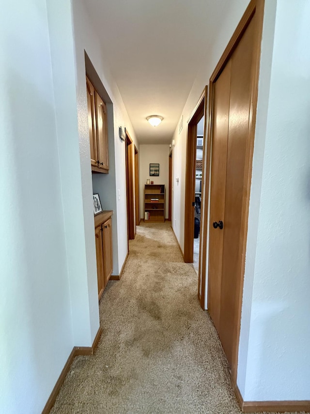 8021 Mclain Ave, Lambertville, MI 48144 - hall with light colored carpet and baseboards