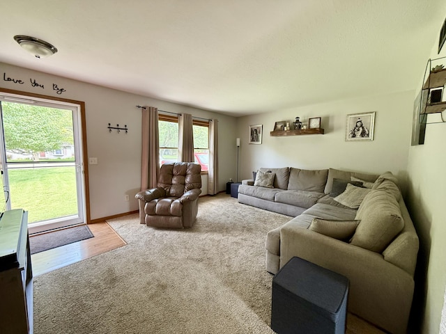 8021 Mclain Ave, Lambertville, MI 48144 - carpeted living room featuring baseboards