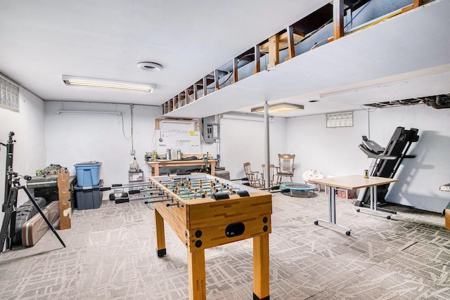 9930 N 16th St, Plainwell, MI 49080 - rec room featuring carpet floors and a workshop area