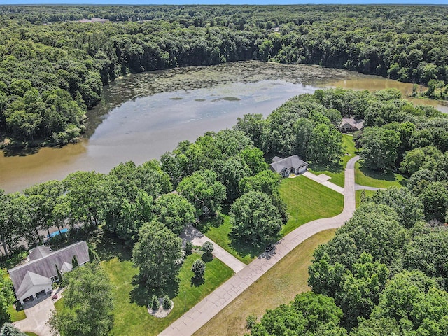 3314 Westview Ct, Allegan, MI 49010 - bird's eye view of a large body of water