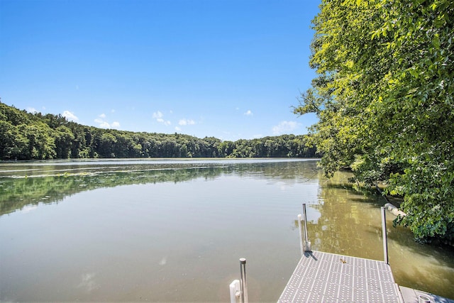 3314 Westview Ct, Allegan, MI 49010 - dock area with a wooded view and a water view
