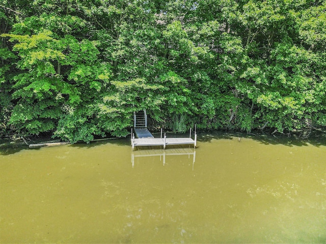3314 Westview Ct, Allegan, MI 49010 - view of yard featuring a dock