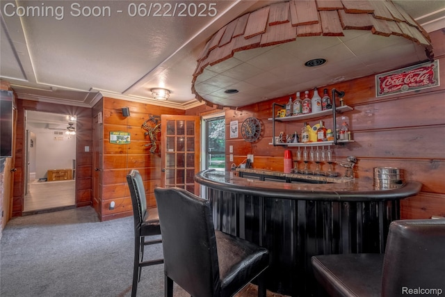 8780 Dixie Hwy, Birch Run, MI 48415 - indoor dry bar with wood walls, carpet, and crown molding
