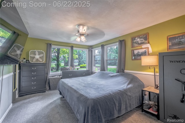 8780 Dixie Hwy, Birch Run, MI 48415 - bedroom with carpet flooring and a ceiling fan
