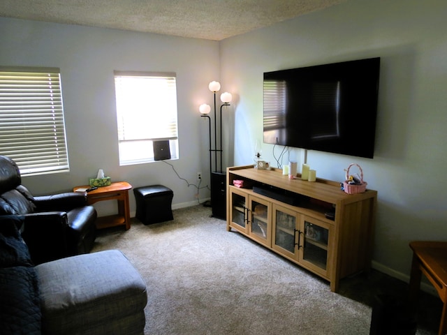 1513 Joy Ave, Jackson, MI 49203 - carpeted living room featuring a textured ceiling and baseboards