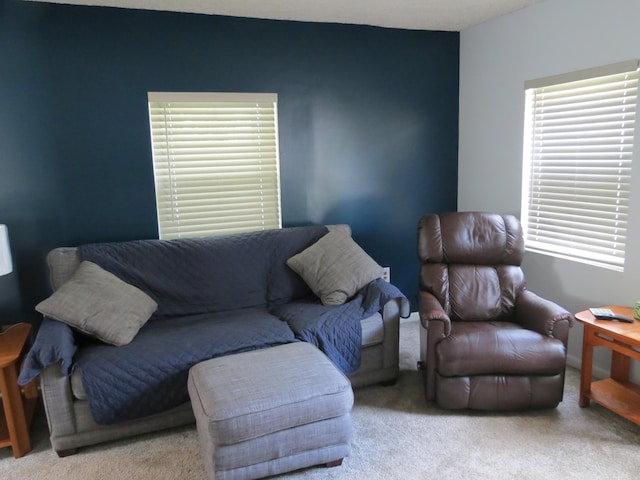 1513 Joy Ave, Jackson, MI 49203 - view of carpeted living area