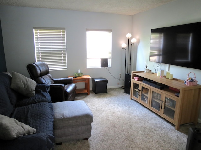 1513 Joy Ave, Jackson, MI 49203 - view of carpeted living area