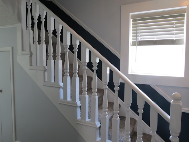 1513 Joy Ave, Jackson, MI 49203 - view of stairs