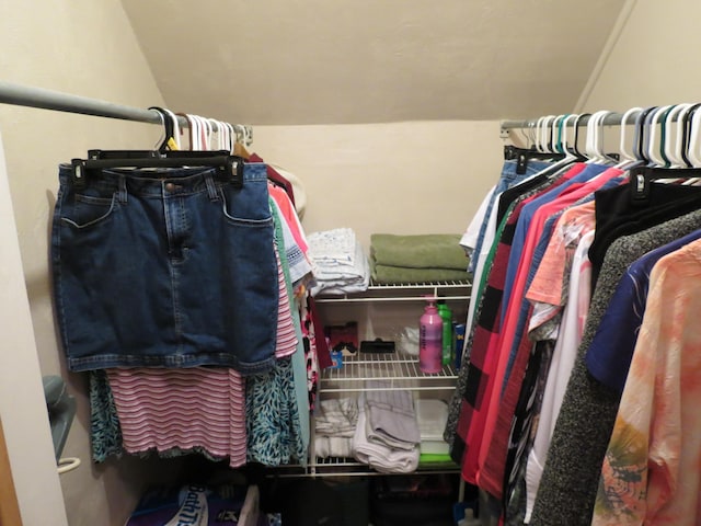 1513 Joy Ave, Jackson, MI 49203 - walk in closet with vaulted ceiling