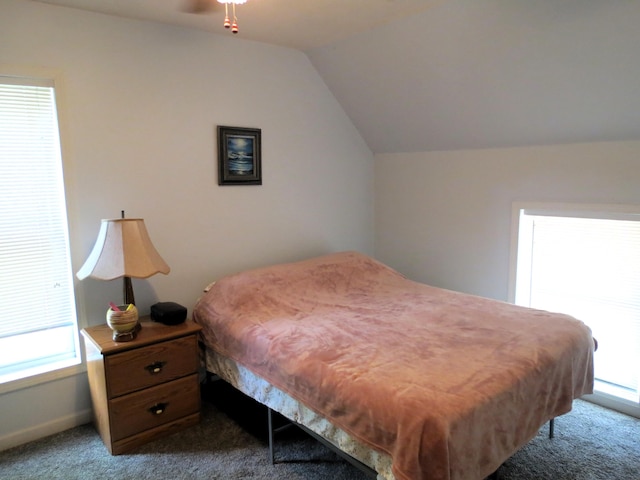1513 Joy Ave, Jackson, MI 49203 - bedroom featuring dark colored carpet, vaulted ceiling, and multiple windows
