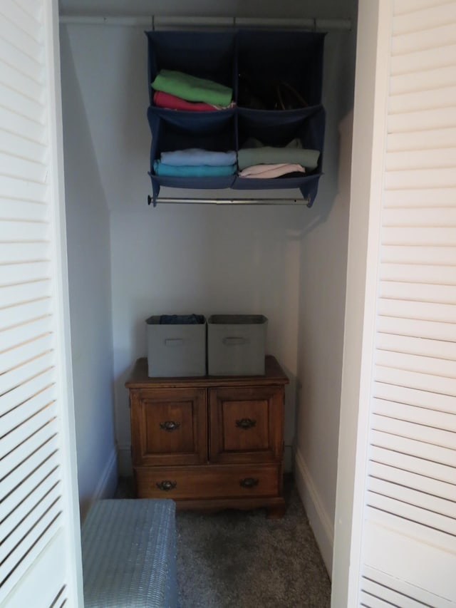 1513 Joy Ave, Jackson, MI 49203 - view of closet