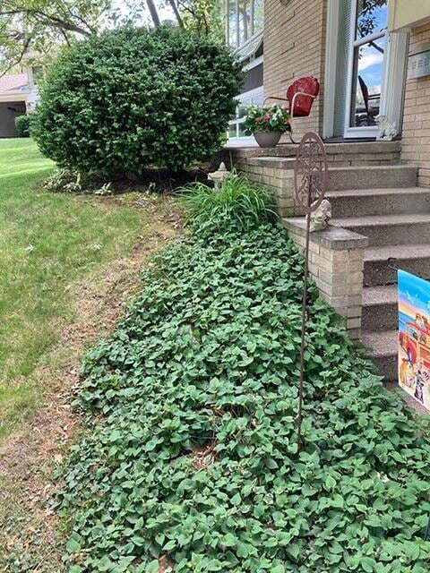2975 Princeton Ct, Muskegon, MI 49441 - view of yard with entry steps