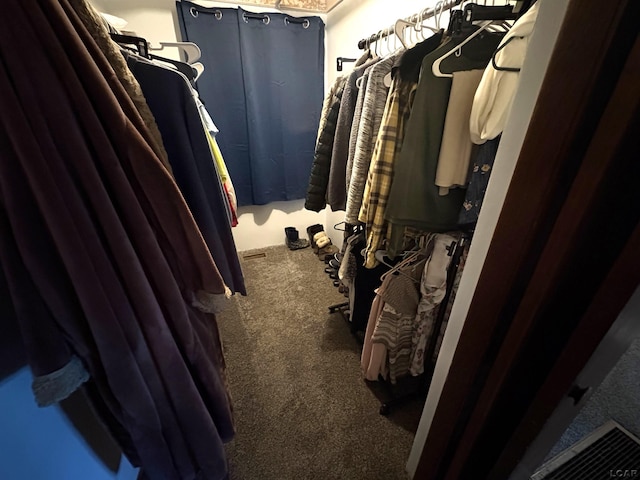 7408 Carleton Rd, Clayton, MI 49235 - walk in closet featuring carpet flooring