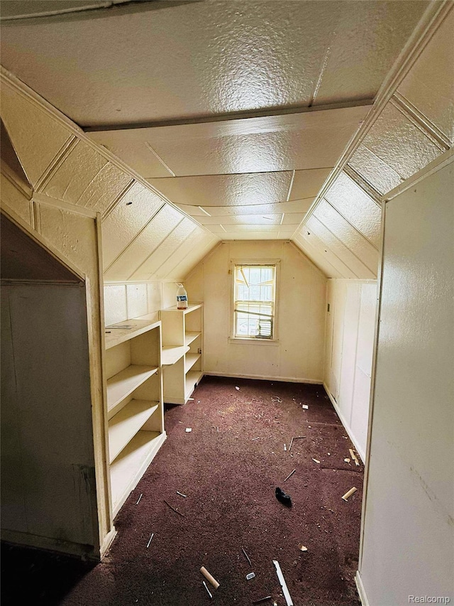 18241 Kentfield St, Detroit, MI 48219 - additional living space featuring lofted ceiling, a textured ceiling, and carpet