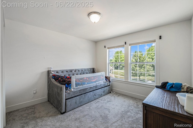 1013 Lancaster St, Lapeer, MI 48446 - carpeted bedroom with baseboards