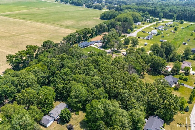 2539 Daisy Ln, Middleville, MI 49333 - aerial view of property's location