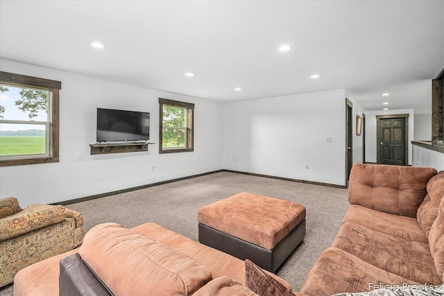 2539 Daisy Ln, Middleville, MI 49333 - living area featuring carpet and recessed lighting