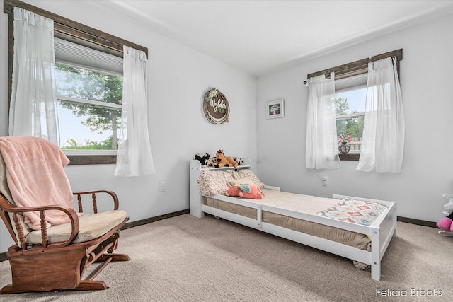 2539 Daisy Ln, Middleville, MI 49333 - carpeted bedroom with multiple windows