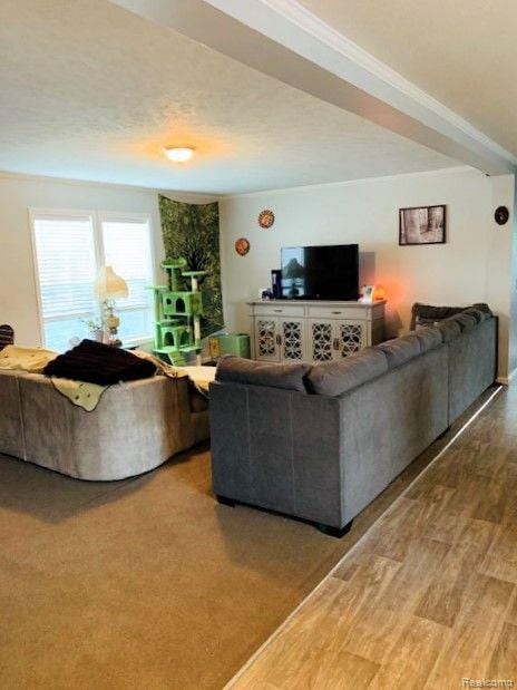 15385 Cartier, Clinton Township, MI 48038 - photo 3