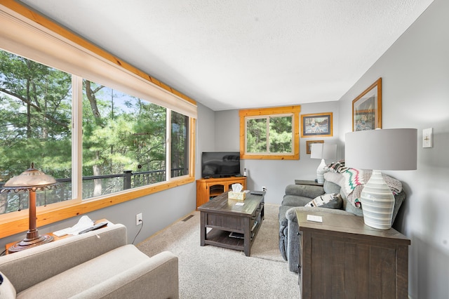 16987 S Star Lake Dr, Baldwin, MI 49304 - photo 20