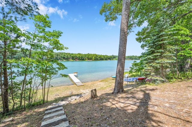 16987 S Star Lake Dr, Baldwin, MI 49304 - photo 3