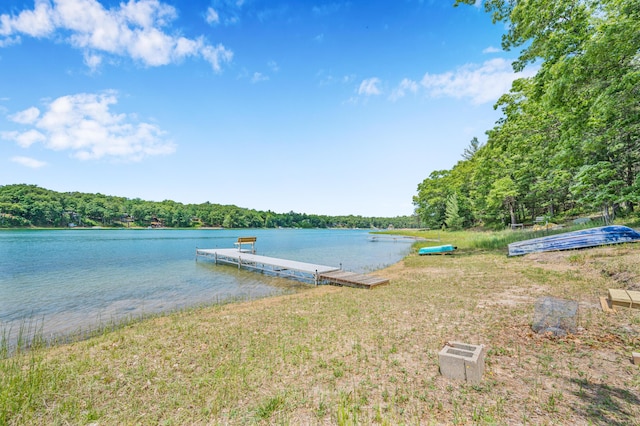 16987 S Star Lake Dr, Baldwin, MI 49304 - photo 52