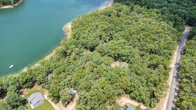 16987 S Star Lake Dr, Baldwin, MI 49304 - photo 55
