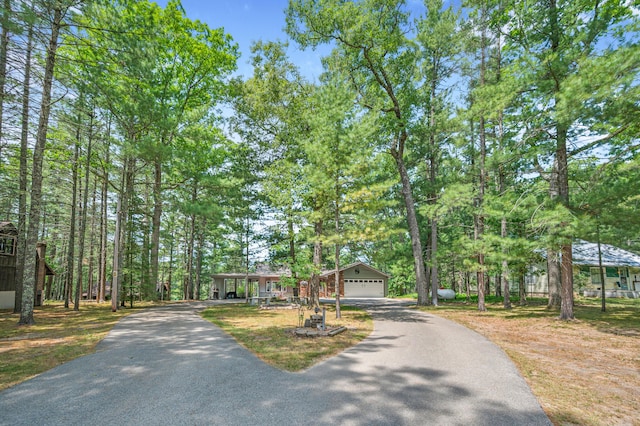 16987 S Star Lake Dr, Baldwin, MI 49304 - photo 8