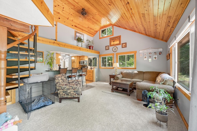16987 S Star Lake Dr, Baldwin, MI 49304 - photo 19
