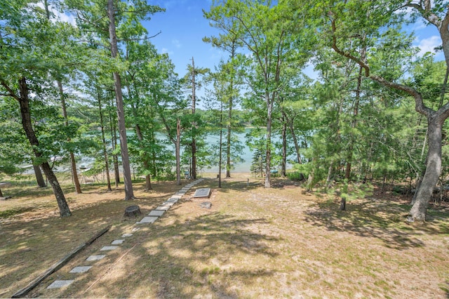 16987 S Star Lake Dr, Baldwin, MI 49304 - photo 42