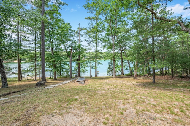16987 S Star Lake Dr, Baldwin, MI 49304 - photo 47