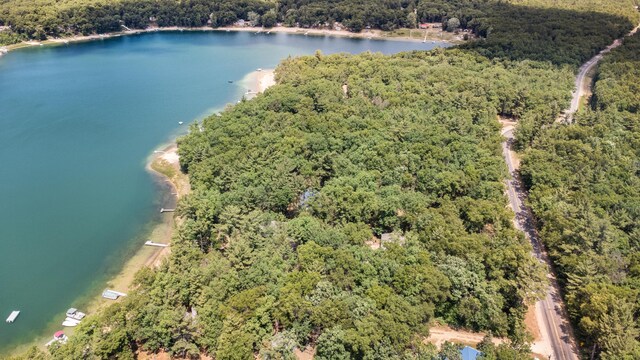 16987 S Star Lake Dr, Baldwin, MI 49304 - photo 56