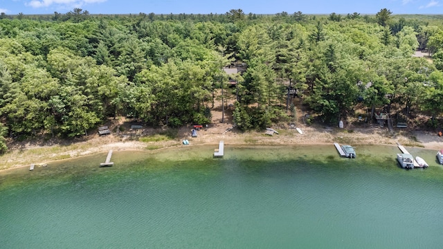 16987 S Star Lake Dr, Baldwin, MI 49304 - photo 59