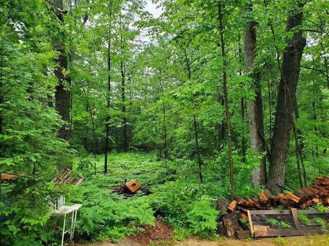 5525 Chippewa Trl, Prescott, MI 48756