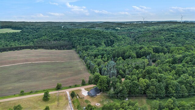 23736 110th Ave, Tustin, MI 49688 - photo 24