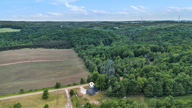 23736 110th Ave, Tustin, MI 49688 - photo 25