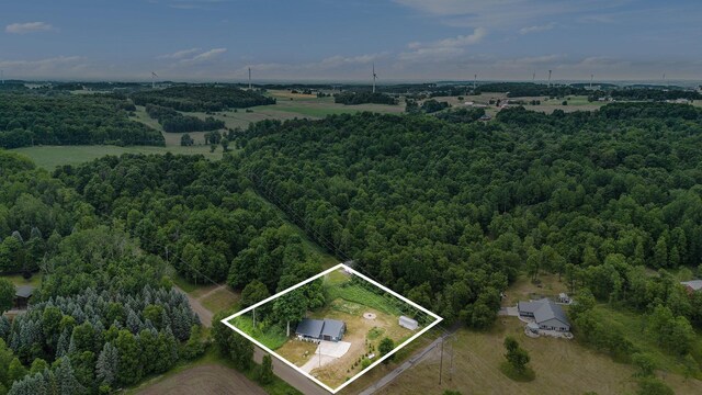 23736 110th Ave, Tustin, MI 49688 - photo 3