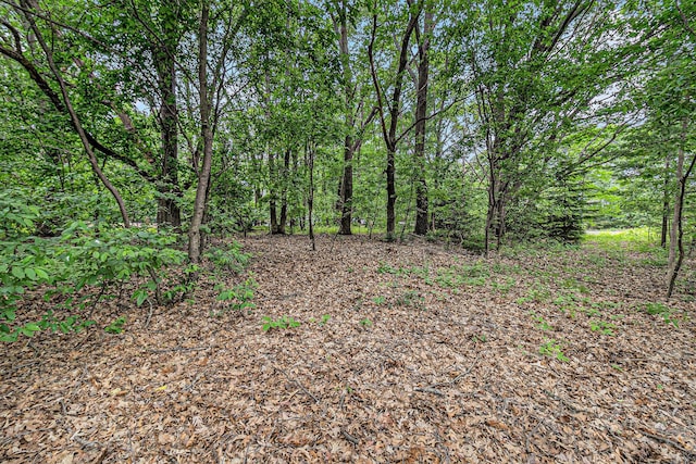 1662 Ramona Dr, Manistee, MI 49660 - photo 26