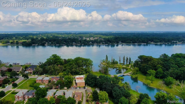 3400 Elizabeth Dr Unit 4, Trenton, MI 48183 - aerial view of property's location with a nearby body of water and nearby suburban area